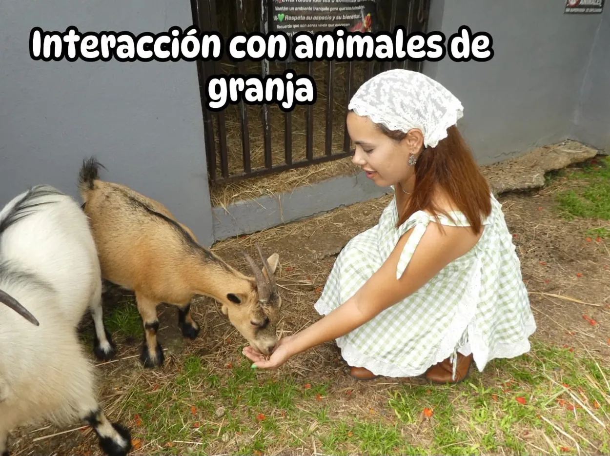 Interacción con animales de granja en la hacienda