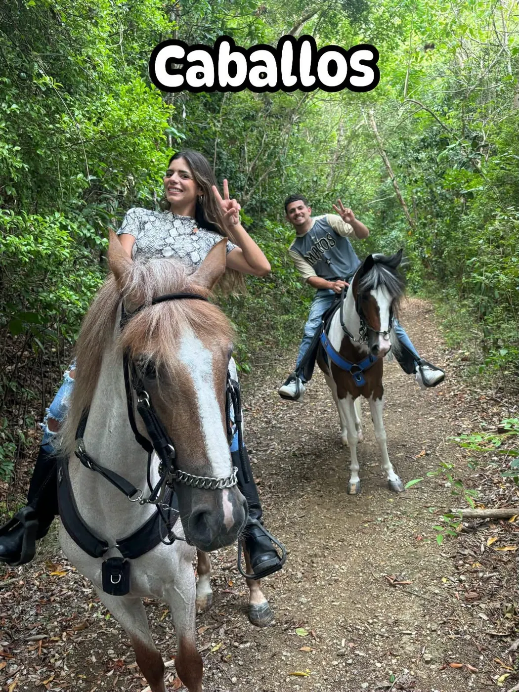 Caballos en Hacienda El Flambo