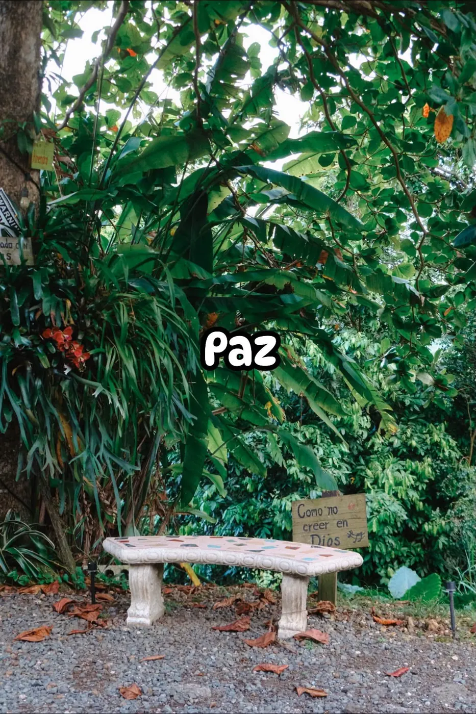 Naturaleza en Hacienda El Flambo