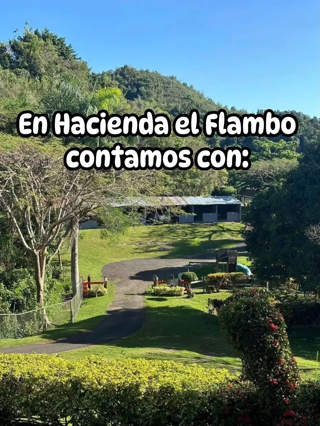 Jardines en Hacienda El Flambo